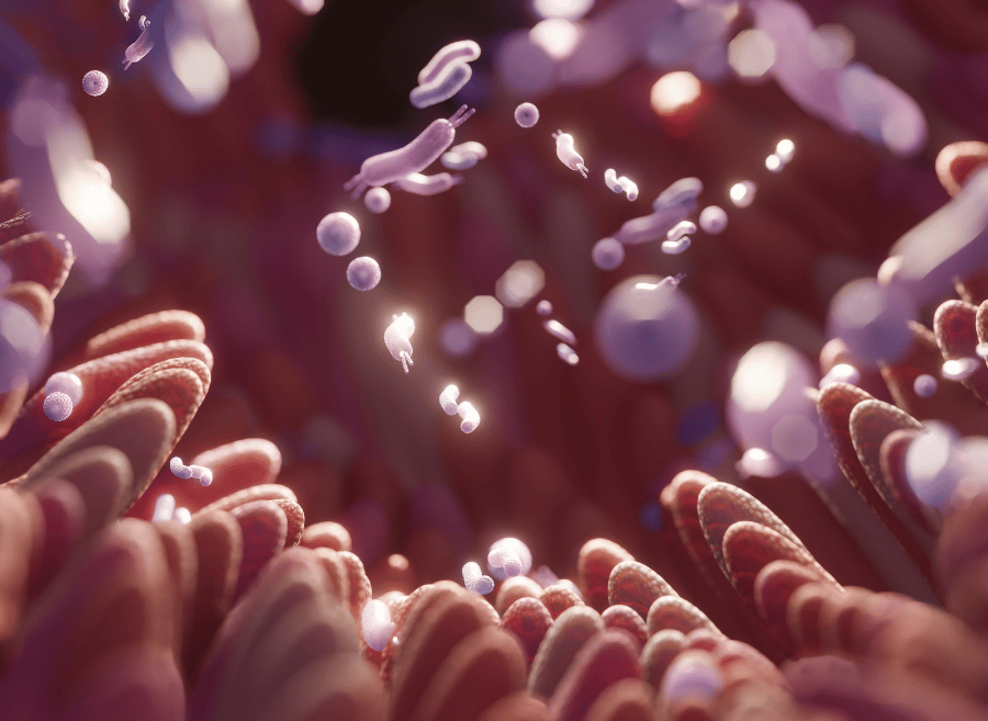 Microbiota 2