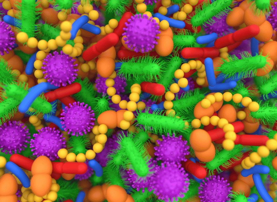 Microbiota 3
