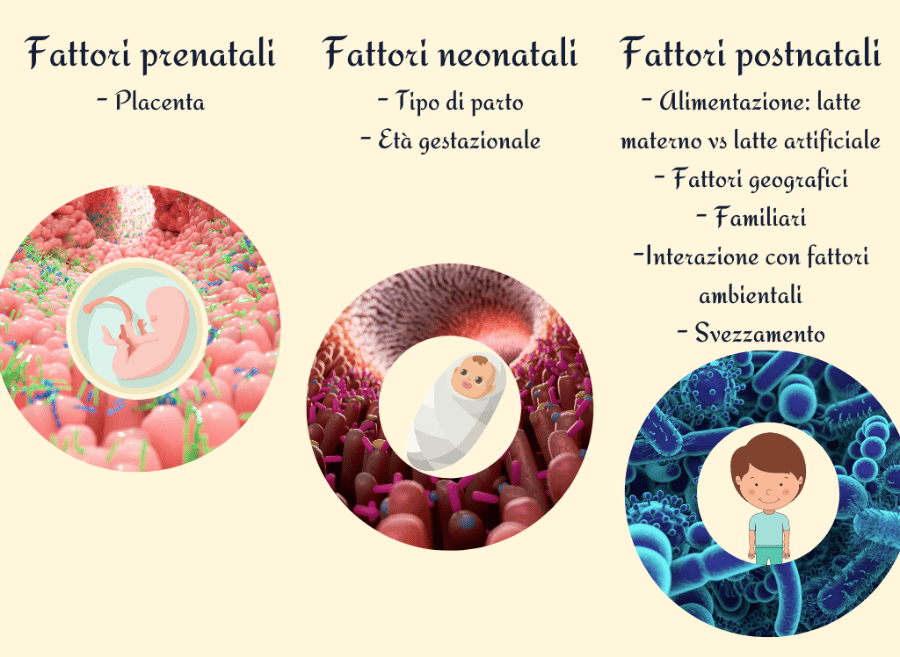 Microbiota 5