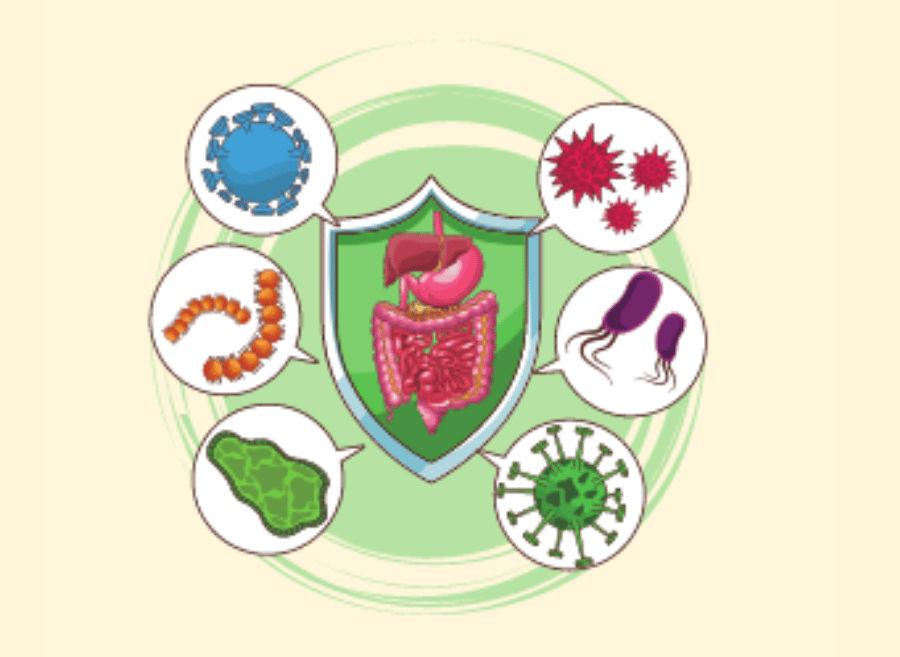 Microbiota 8